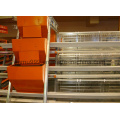 Low Price Chicken Breeding Equipment in Poultry House (JFW-08)